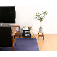 不二貿易 ファブリックインナーボックス 00 37130 1個