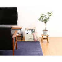 不二貿易 蓋付不織布インナーボックススタンダードIV(70454) 65284 1個