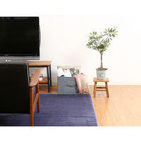 不二貿易 不織布インナーボックス スタンダード GY(70453) 65283 1個