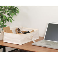 不二貿易 魅せる収納ボックス 横ハーフ 蓋付 52861 1個