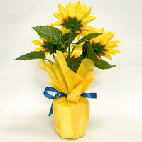 ポップギャラリー(POPGALLERY) ひまわりバリューラッピングポット SV2-0011 1個（直送品）