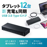 サンワサプライ  USB2.0 Type-C 12ポートハブ USB-2THCS12N（直送品）