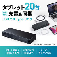 サンワサプライ  USB2.0 Type-C 20ポートハブ USB-2THCS20N（直送品）