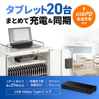 サンワサプライ  USB 5Gbps Type-C 20ポートハブ USB-5TCPS20（直送品）
