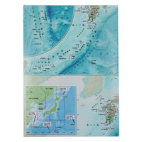 東京カートグラフィック クリアファイル 日本地勢 CFNE 1枚（直送品）