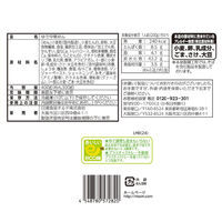 日清食品チルド [冷蔵] 日清のそのまんま麺 冷し中華 ごまだれ 2人前×6袋 4548780572820 1セット(400g×6袋)（直送品）