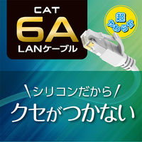 ナカバヤシ カテゴリー6A　柔らかシリコンLANケーブル　ホワイト　5m C6AーSL050W 1個