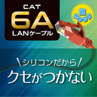 ナカバヤシ カテゴリー6A　柔らかシリコンLANケーブル　レッド　3m C6AーSL030R 1個