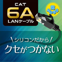 ナカバヤシ カテゴリー6A　柔らかシリコンLANケーブル　ブラック　2m C6AーSL020BK 1個