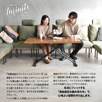 【軒先渡し】B.Bファニシング infinite ヘッドレストカバー キャンバスグリーン IFSF0310CAGRN 1枚（直送品）