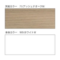 【設置込】イトーキ CZRデスク Type S  平机 パネル脚 センター引出無 1100×600mm CZR-116JAPS-971 1台（直送品）