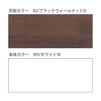 【設置込】イトーキ CZRデスク Type S  平机 パネル脚 センター引出付 1200×700mm CZR-127HAPS-982 1台（直送品）
