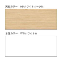 【設置込】イトーキ CZRデスク Type S  平机 L脚 センター引出無 1200×800mm CZR-128JAS-992 1台（直送品）