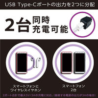 セイワ レインボーイルミ2USBコネクタ CtoC×2 イルミ F-349 1個（直送品）