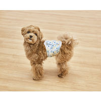 ペット用おむつ ピタフィット 男の子用 XS 超小～小型犬サイズ 48枚入 1袋 アイリスオーヤマ