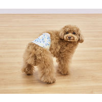 ペット用おむつ ピタフィット 男の子用 S 小型犬サイズ 46枚入 1袋 アイリスオーヤマ