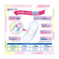 白十字 サルバさらさらケアパッド50cc 31730 1パック（30枚入）