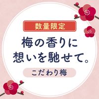 【数量限定】入浴剤 炭酸 アソート 温泡 こだわり梅 詰め合わせ 個包装 透明タイプ 1箱（20錠入り） アース製薬