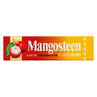 ロッテ マンゴスチンガム 9枚入 1セット（1個×15） 板ガム 個包装