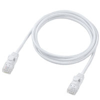 エレコム LANケーブル CAT6A 1m 爪折れ防止 高耐久 メッシュケーブル 白 ECLDーGPAM/WH10 1個