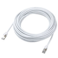 エレコム LANケーブル CAT7 10m 爪折れ防止 高耐久 メッシュケーブル 白 ECLDーTWSM/WH100 1個