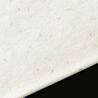 山櫻 特殊紙封筒 長3 スミ貼 東北コットンCoC 70 枠ナシ 00513122 1袋(100枚入)（直送品）