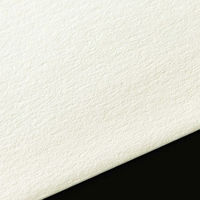 山櫻 特殊紙封筒 洋長3カマス ARホワイトCoC 130 枠ナシ YAMA-4851-0040 1袋(100枚入)（直送品）