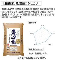 新潟県魚沼産 コシヒカリ 2kg 【精白米】 令和7年産 米 お米 こしひかり