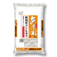 新潟県産 こしひかり 20kg(5kg×4袋) 【無洗米】 令和7年産 米 お米 コシヒカリ