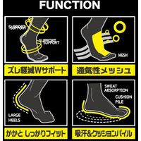 ディックコーポレーション 吸汗速乾+底パイルメッシュ 先丸スニーカ- 3P CA-260 1セット(3P)（直送品）