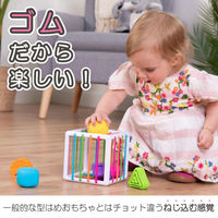 Fat　Brain　Toys　InnyBin　イニービン　FA251ー1　1個