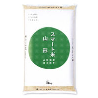 山形県産 はえぬき 10kg(5kg×2袋) 精白米 令和6年産 スマート米 オプティム