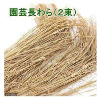 コンパル 園芸長わら(2束) 4935682025507 1袋（直送品）