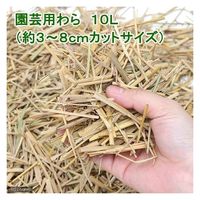 コンパル 園芸用わら10L 4935682026061 1袋（直送品）