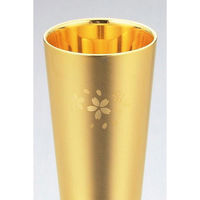 カクセー ステンレスW構造 タンブラー 300ml 2P 4941012206027 1セット（直送品）