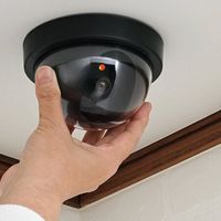 カクセー 防犯ダミーカメラ(ドーム型) DD-01 1個