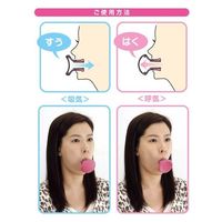 セーブ・インダストリー フェイストレッチ SV-4311 1個（直送品）