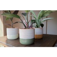 【園芸用品】welzo カラーポット　クリームイエロー 4933136526297 1個