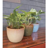 【園芸用品】welzo グレイズポット　モスグリーン 4933136552869 1個