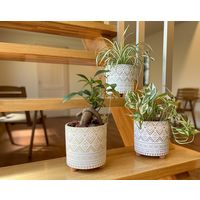 【園芸用品】welzo スケイルポット　ドーンピンク 4933136522978 1個