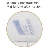 柳井紙工 食品箱 キャリーデコケース キャリーデコ 保冷ホワイト150 6 4525241125818 1セット(100枚入)（直送品）