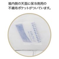 柳井紙工 食品箱 キャリーデコケース キャリーデコ 保冷ホワイト180 5 4525241125924 1セット(100枚入)（直送品）
