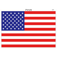 全教図 世界の国旗カード 100か国版 1230041 1ヶ（直送品）