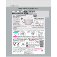 白元アース 快適ガードプロ ふつうサイズ グレースタイル 曇りにくい　使い捨て　バイカラー　プリーツマスク 1袋（15枚入）