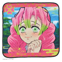 【アウトレット】丸眞　鬼滅の刃　TVアニメ編10　ミニタオル 1セット（5枚）