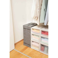 天馬 スリムケース フィッツファブリック 幅15×奥行50×高さ70cm 419828 1個（直送品）