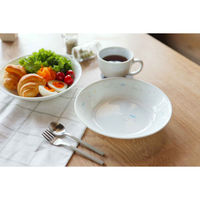 パール金属 プレート 21.5cm CORELLE コレール シロクマ 強化ガラス 466241 1個（直送品）