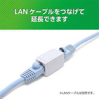 ナカバヤシ LANケーブル延長アダプタ　カテゴリー5e対応 CARー855E 1個