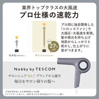 ドライヤー 速乾 大風速 1300W プロテクトイオン サロンクオリティ スモーキーグレー NIB500B-H テスコム 1個（直送品）