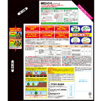 【園芸用品】フマキラー 除草王シャワーＳ エコパウチ 4.5Ｌ 4902424451528 1個